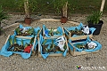 VBS_3580 - Floreal 2023 - Vivere con le piante